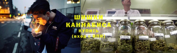 ешки Алексин