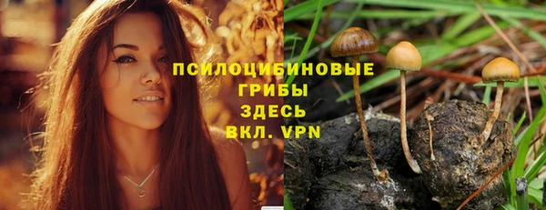 ECSTASY Алексеевка