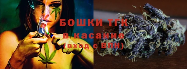 ешки Алексин