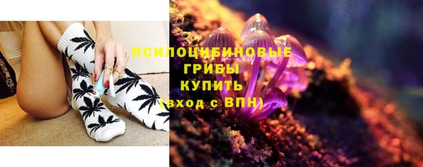 ешки Алексин